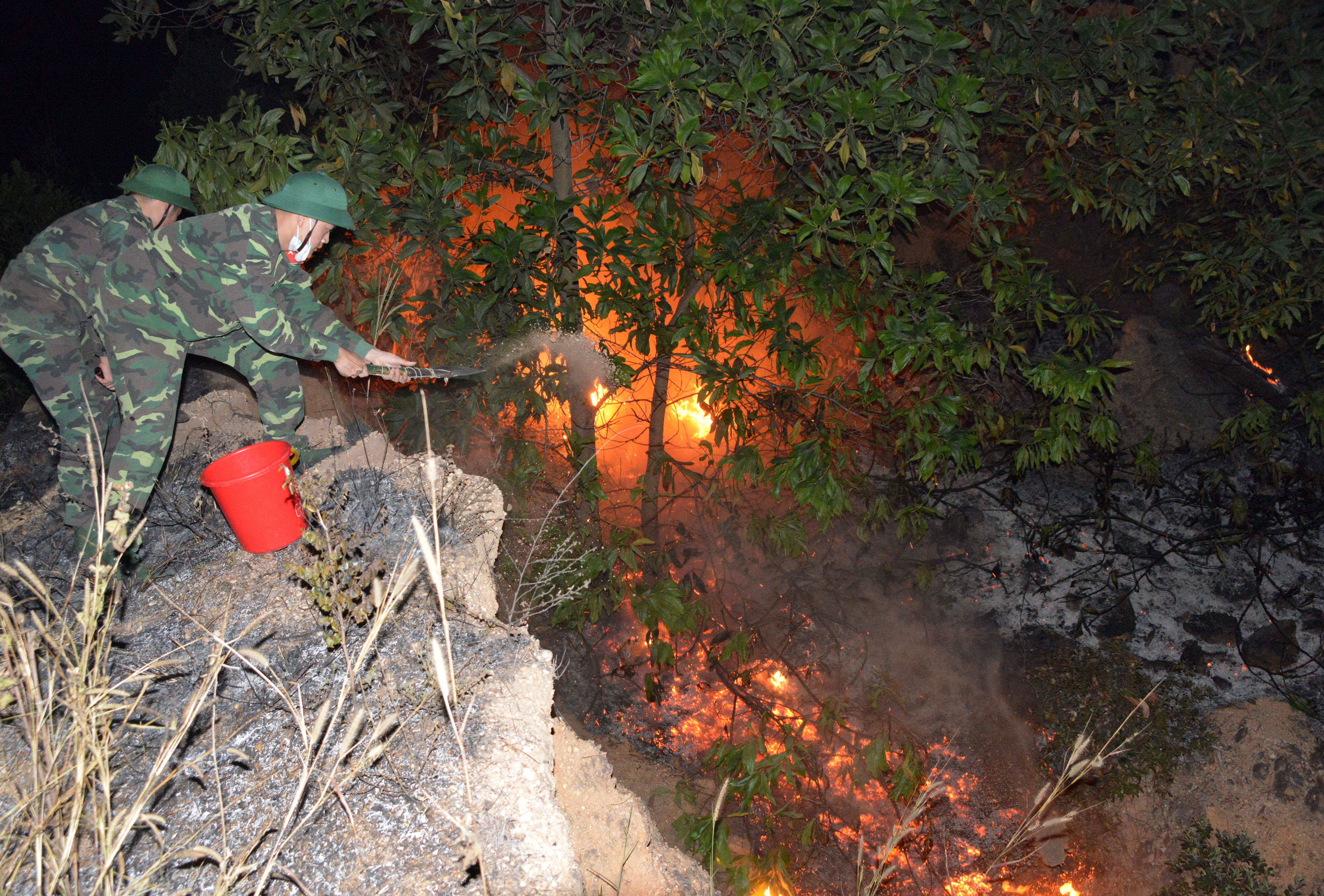 Trường Quân sự Quân khu 3 kịp thời chữa cháy rừng phòng hộ 